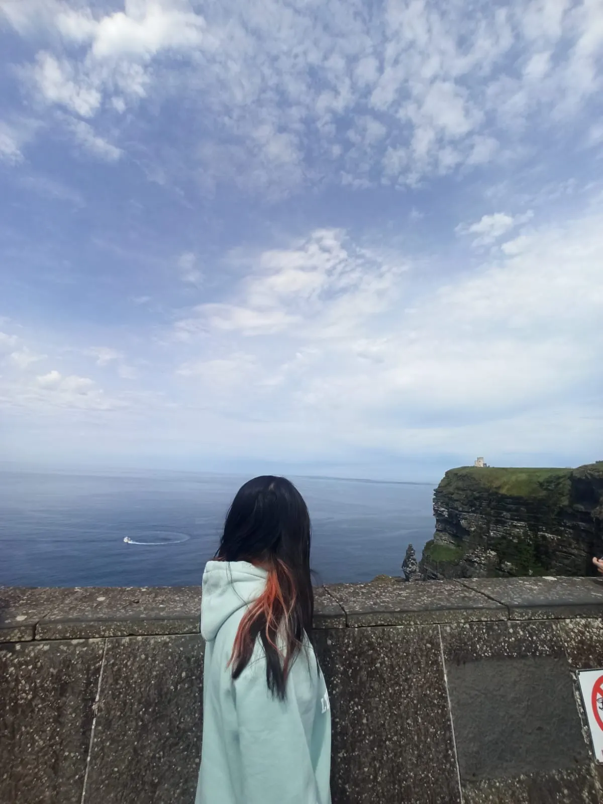 🇮🇪 Irlanda